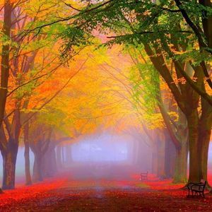 Meet your Posher, Dylan